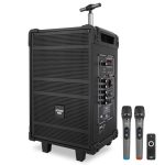 Pavo 600 Watt Wireless Speaker Karaoke System Home-0