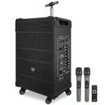 Pavo 800W 12 Inch Wireless Bluetooth Speaker Karaoke System-0
