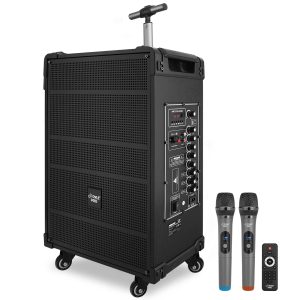 Pavo 800W 12 Inch Wireless Bluetooth Speaker Karaoke System-0