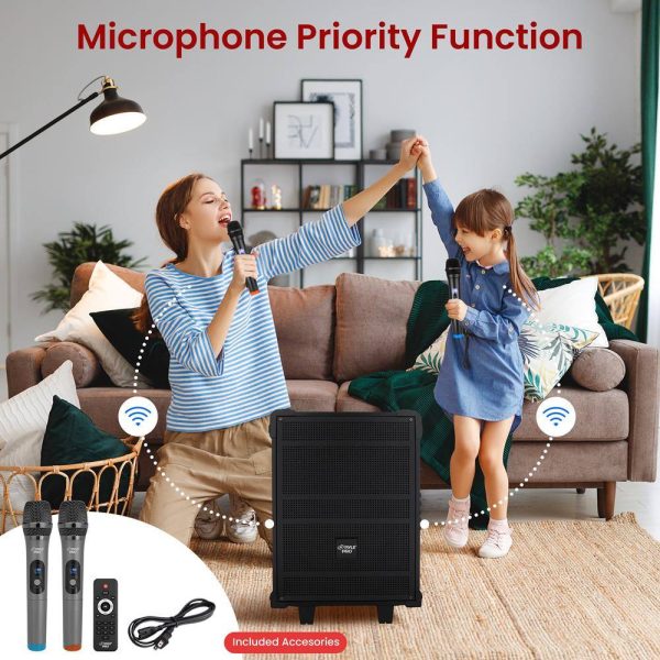 Pavo 600 Watt Wireless Speaker Karaoke System Home-3