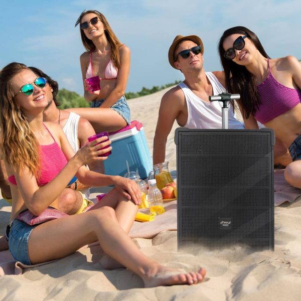Pavo 800W 12 Inch Wireless Bluetooth Speaker Karaoke System-8